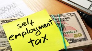 SETC Tax Benefits for Self-Employed Professionals
